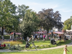 IKpictures-tekenen-24