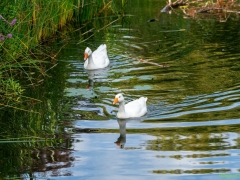 250913-jeugdvissen-BO-321