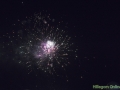 DSC08194B