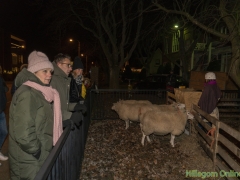 181215 - Herdertjestocht 136