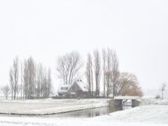 03 _ Tonny de Rooij _ Veenenburgerlaan