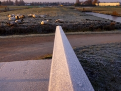04_Weerlanerpolder_Frank-Out