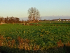 44_Weerlanerpolder_Frank-Out