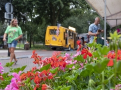 IKpictures-Jaarmarkt-22