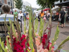 IKpictures-Jaarmarkt-6