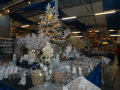 DSC09037-1