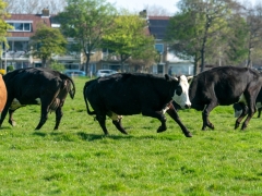 DSC09181