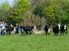 DSC09120