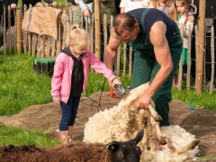 240413-koeien-naar-buiten-107