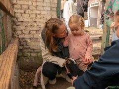 240413-koeien-naar-buiten-109