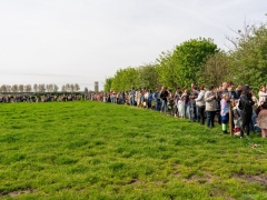 240413-koeien-naar-buiten-115