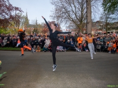 DSC_1985