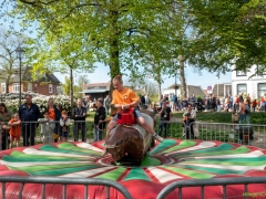 fun-in-de-hoftuin-11