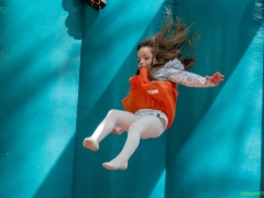 fun-in-de-hoftuin-15