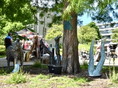 A7C06C56-49AF-4C74-8FF0-EE1EAF901603_1_201_a