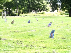 D4579AFD-DA33-4682-9745-ABD551A3BE6F_1_201_a