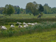 IK_09843-Bewerkt