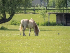 ik_00010-Bewerkt