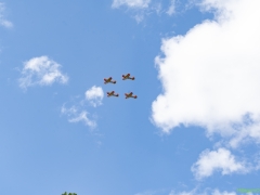 250505-Liberation-Tour-Bollenstreek-Hillegom-2025-101