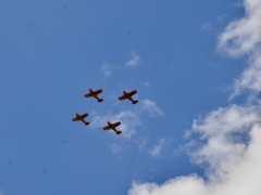 DSC_7228