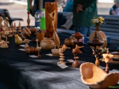 DSC09791