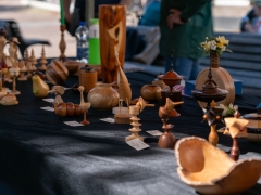 DSC09791
