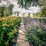 Nispenpark_02_nk