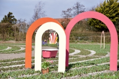 De zilk (6)