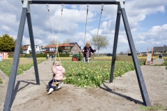 fullsizeoutput_20894
