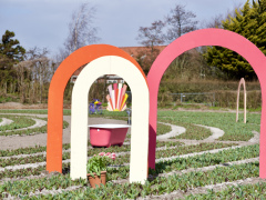 De zilk (6)