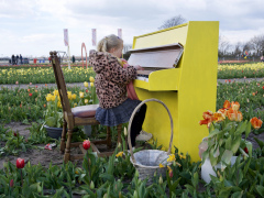 fullsizeoutput_2086b