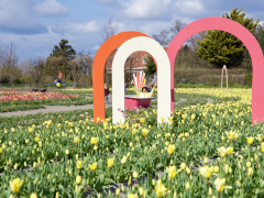 fullsizeoutput_2086f