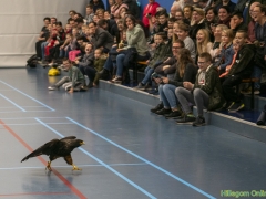 191228-roofvogelshow126