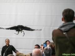 191228-roofvogelshow144