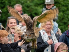 IKpictures-Roofvogelshow-Keukenhofbos-012