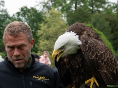 IKpictures-Roofvogelshow-Keukenhofbos-028