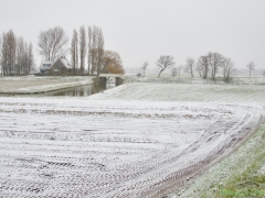 fullsizeoutput_1e7ab