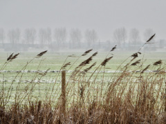 7545677B-057E-4014-87CF-59731EB8DC91_1_201_a