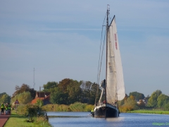 DSC_3929