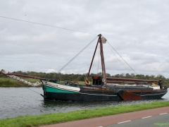 DSC03241