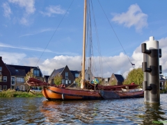 DSC_8611