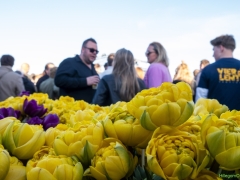 250419-vier-de-lente-117