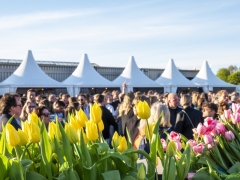 250419-vier-de-lente-120
