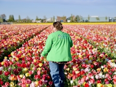 250419-vier-de-lente-137