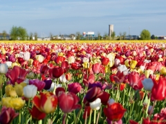 250419-vier-de-lente-144