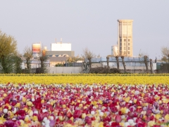 250419-vier-de-lente-168