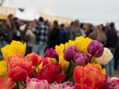 Vier-de-Lente_0161
