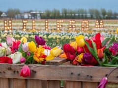 Vier-de-Lente_0473