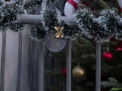 Winter-Wonderland-007