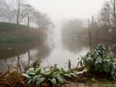 Thema-Winter-januari-Tonny de Rooij